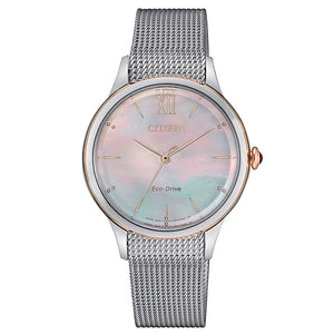 Citizen L EM0816-88Y